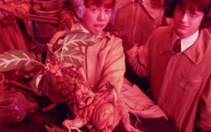 Procura e Questura di Torino a spasso nello spazio-tempo | Puntata due