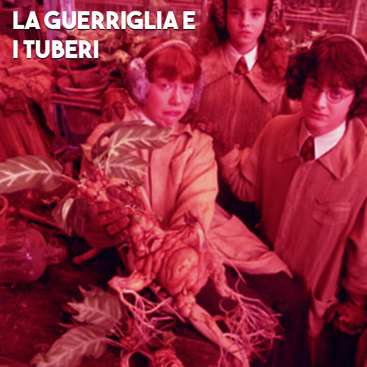 Procura e Questura di Torino a spasso nello spazio-tempo | Puntata due